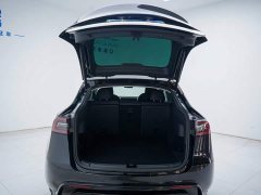 Tesla Model Y Edition - ფოტო 6
