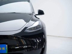 Tesla Model Y Edition - ფოტო 9