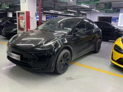 Tesla Model Y Edition - ფოტო 1