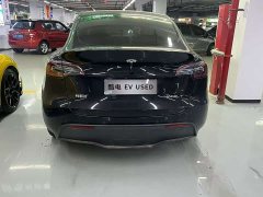 Tesla Model Y Edition - ფოტო 3