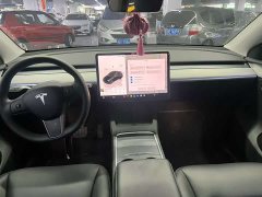 Tesla Model Y Edition - ფოტო 6