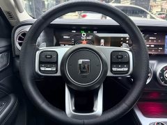 Tank 300 Off-Road Edition 2.0T - ფოტო 10