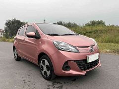 Changan E-Star Edition (31.95kWh) - ფოტო 3