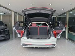 FAW E-HS9 660km Edition - ფოტო 16
