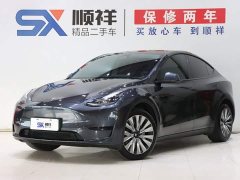 Tesla Model Y Edition - ფოტო 1