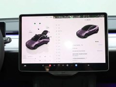 Tesla Model Y Edition - ფოტო 14