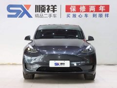 Tesla Model Y Edition - ფოტო 2
