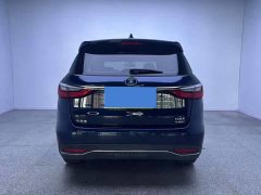BYD MAX DM 1.5T Version 7 V - ფოტო 7