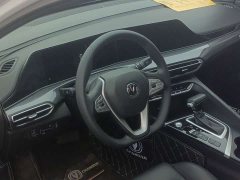 BMW PLUS NE 1.4T GDI DCTPremium Version - ფოტო 5
