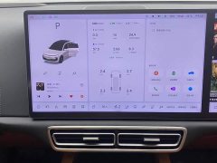 Li Auto L6 Pro - ფოტო 15