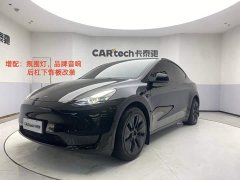 Tesla Model Y Edition - ფოტო 1