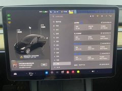 Tesla Model Y Edition - ფოტო 15