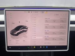 Tesla Model 3 Edition - ფოტო 15