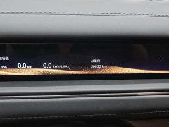 Nio ES8 Luxury Edition - ფოტო 7