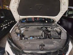Mercedes-Benz PLUS NE 1.4T GDI DCTFlagship Edition - ფოტო 17