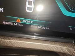 Mercedes-Benz PLUS NE 1.4T GDI DCTFlagship Edition - ფოტო 9