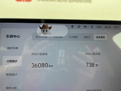 Li Auto L8 Pro - ფოტო 14