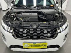 Land Rover L 249PS Luxury Edition - ფოტო 12
