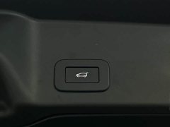 Land Rover L 249PS Luxury Edition - ფოტო 15