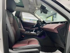 Land Rover L 249PS Luxury Edition - ფოტო 19