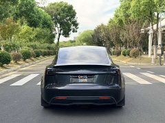 Tesla Model 3 Edition - ფოტო 5
