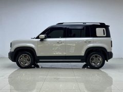 Baojun Plus 501km Edition - ფოტო 4