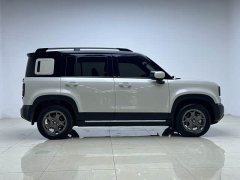 Baojun Plus 501km Edition - ფოტო 8