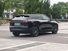 Voyah AWD Edition - ფოტო 20