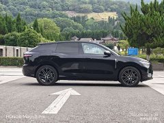 Voyah AWD Edition - ფოტო 4