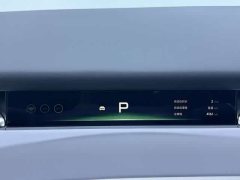 Xpeng P7 EV 725 Max Flagship Edition - ფოტო 10