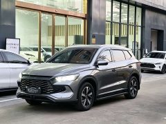 BYD Pro Edition DM-i 71KM Version - ფოტო 1