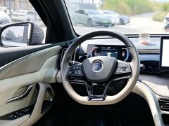 BYD Pro Edition DM-i 71KM Version - ფოტო 13