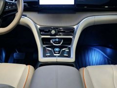 BYD Pro Edition DM-i 71KM Version - ფოტო 15