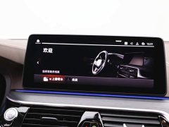 BMW 5 530Li Version M - ფოტო 19