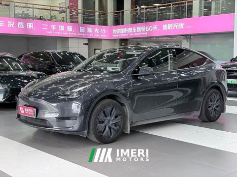 2024 Tesla Model Y Edition - ავტომობილი ჩინეთიდან