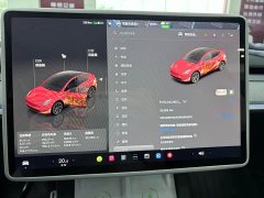 Tesla Model Y Edition - ფოტო 11