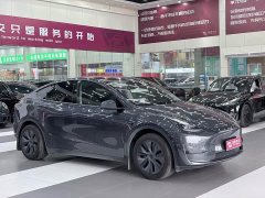 Tesla Model Y Edition - ფოტო 2