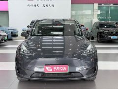 Tesla Model Y Edition - ფოტო 3