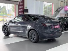 Tesla Model Y Edition - ფოტო 5
