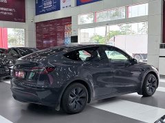 Tesla Model Y Edition - ფოტო 6