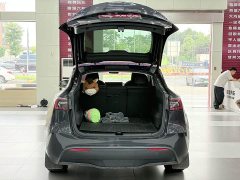 Tesla Model Y Edition - ფოტო 9