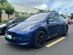 Tesla Model Y Long Range Edition - ფოტო 1