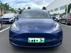 Tesla Model Y Long Range Edition - ფოტო 2