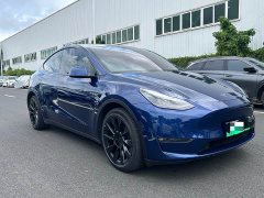Tesla Model Y Long Range Edition - ფოტო 3