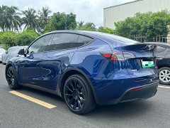 Tesla Model Y Long Range Edition - ფოტო 7