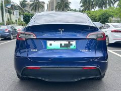 Tesla Model Y Long Range Edition - ფოტო 8