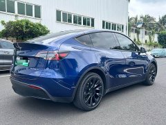 Tesla Model Y Long Range Edition - ფოტო 9