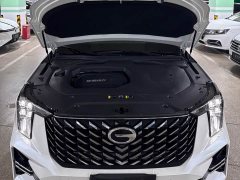 GAC GS8 2.0TGDI 2WDDeluxe Edition - ფოტო 20