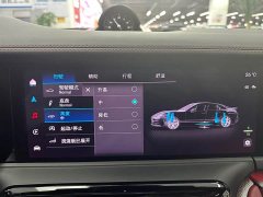 Porsche Panamera 2.9T - ფოტო 8