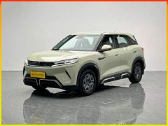 BYD UP 401KM Edition - ფოტო 1